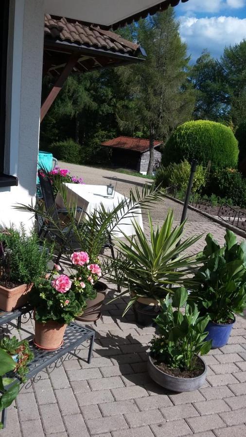Ferienwohnung Haus Finkbeiner Kniebis Zewnętrze zdjęcie